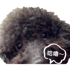 大家好♡！我叫弟弟