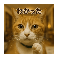 toranosuke_20250504003000