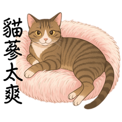 我夢見我是一隻貓！