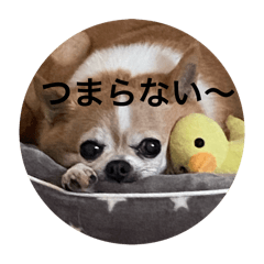 masa_20250504220543
