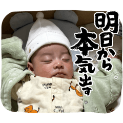 Nagashino.1
