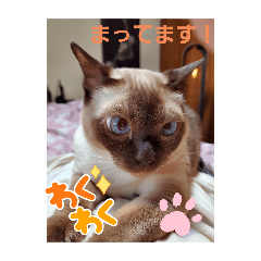 kaori_20250505004341