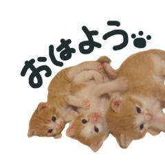 Hana_20250505004027