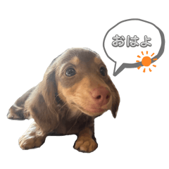 rina_20250504231928