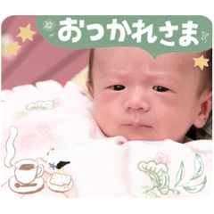 ivy_20250504234034
