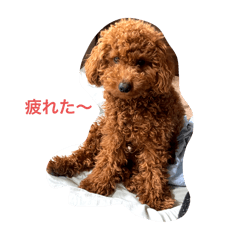Kay_20250505014407