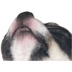 yuchaaan_20250505000729