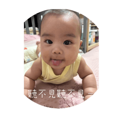 吳小檸檬