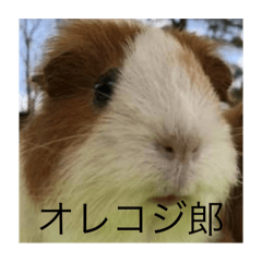mao_20250504001558