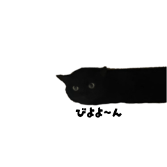 naka_20250504070546