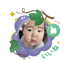 Yama_20250505090243