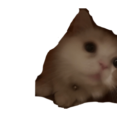 yuzuki_20250505090844