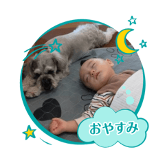 nori_20250505091756