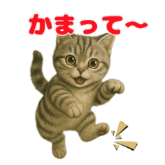 Cat Lover Essential Cute kitten sticker