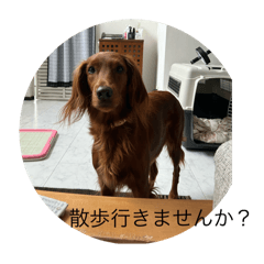 SK_20250504204934