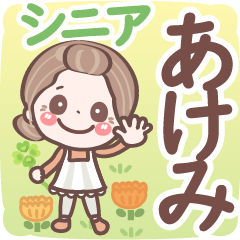 Pretty senior stickers Ver.6-1 Akemi