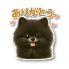 Rui_20250504220652