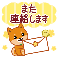 Shiba dog"Musashi"61 Useful honorifics