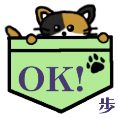 Ho.Etc's Pocket Cat's
