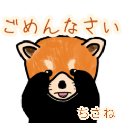 Chisane's lesser panda