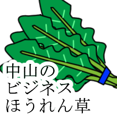 nakayama no bijinesu hourensou