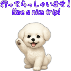 Greetings from Vision Frise