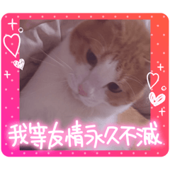 mimi_20250504061039