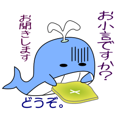 nobobi  Whale