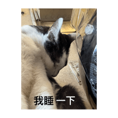 一瞑大一寸