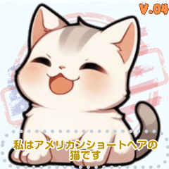 アメリカンショートヘア - 日常用語（J4）