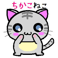 Chikako cat