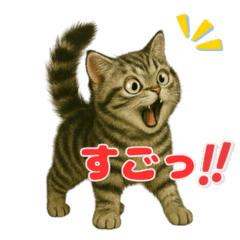 アメショーの万能リアクションスタンプ