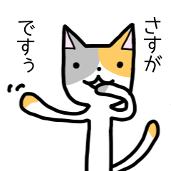 arako_cat