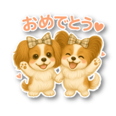 Rui_20250505120046