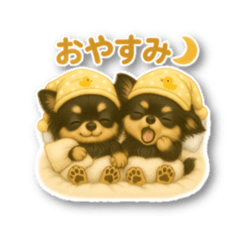 Rui_20250505121533