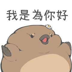 鴨嘴獸媽媽的叮嚀