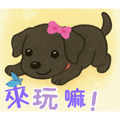 黑萌汪汪出巡記