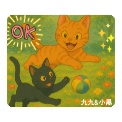 橘貓九九