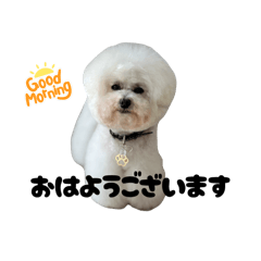 yu_20250505011051