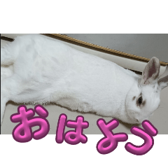 sai_20250505032428