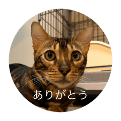 Yu_20250505011039
