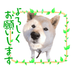 Tsuna_20250505011851