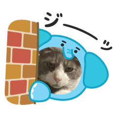 Taka_20250505080729