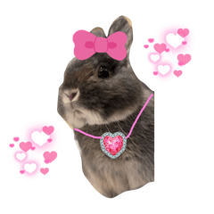 Chiko_hana