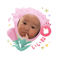 Nagisa_20250505093942