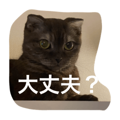 Haru_20250501214606