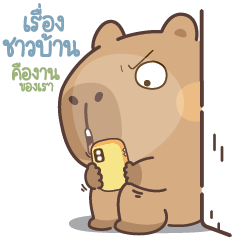 ..คาปิบราวนี่ ชีวิตกว่าจะผ่านแต่ละวัน..