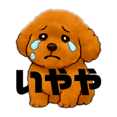 TORA_20250505103716