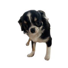 yuchaaan_20250505104930