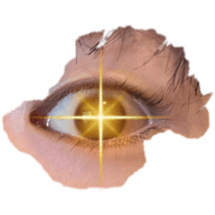 yukky_iroirosutanpu
